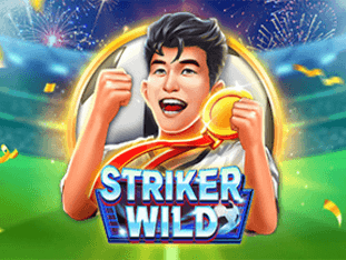 Striker Wild game screenshot
